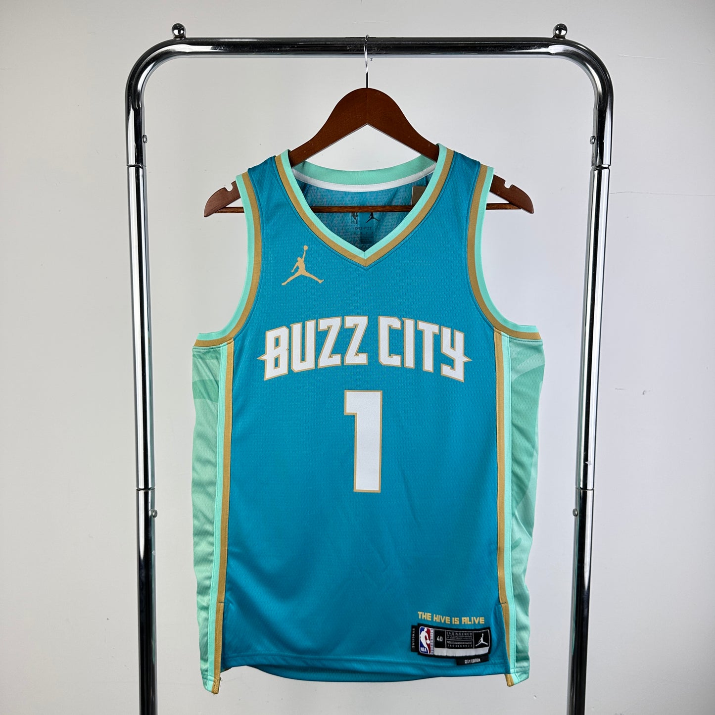 Charlotte Hornets 2023-24 Jordan Brand Teal Swingman Jersey - City Edition 1