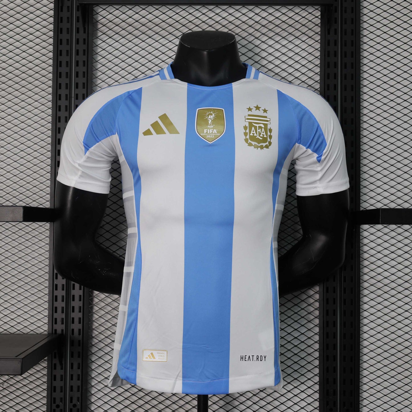 Argentina 2024 Home Player version